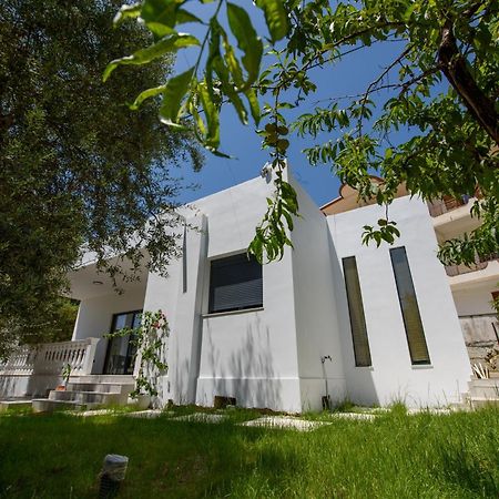 Olivium Rooms Vlorë Exteriér fotografie