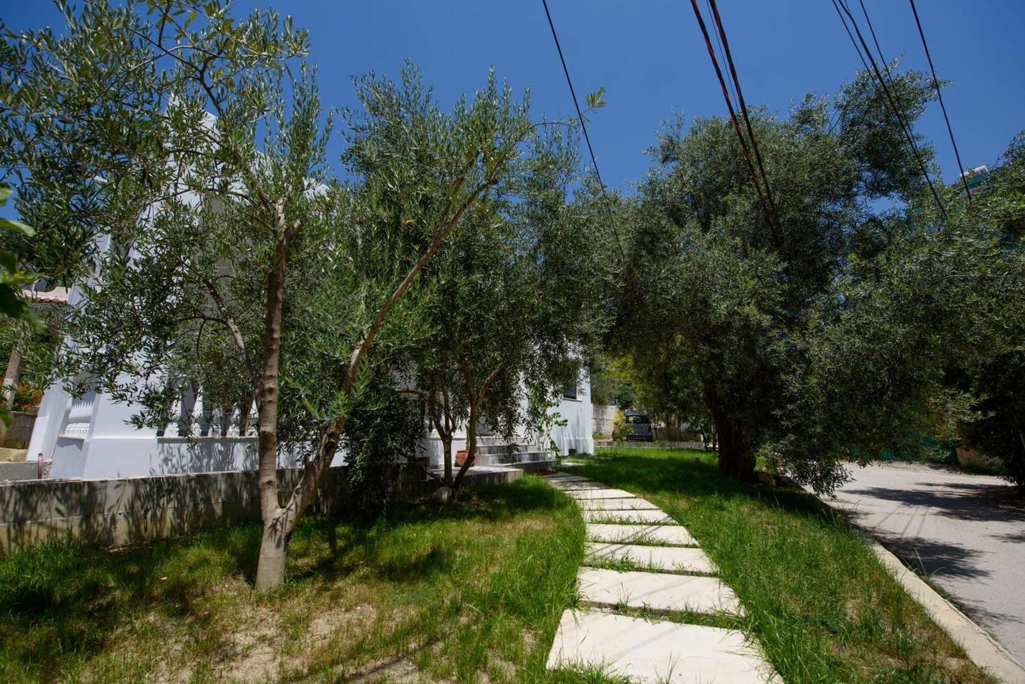 Olivium Rooms Vlorë Exteriér fotografie